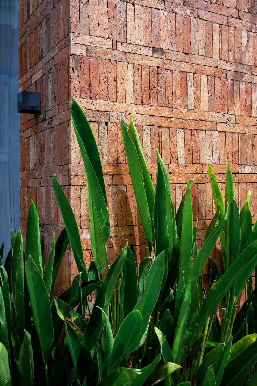 Modern Mansion Elevation in Race Course Coimbatore - Image 77